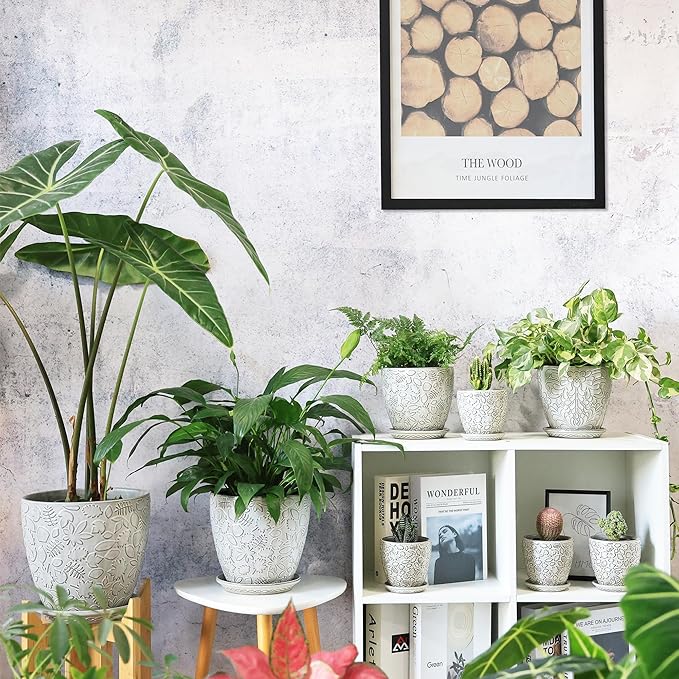 4 Inch Mini Plant Pots, Ceramic Succulent Planter with Drainage Hole and Saucers for Indoor Plants, Small Garden Pots for Succulent, Herb and Flower, Set of 4