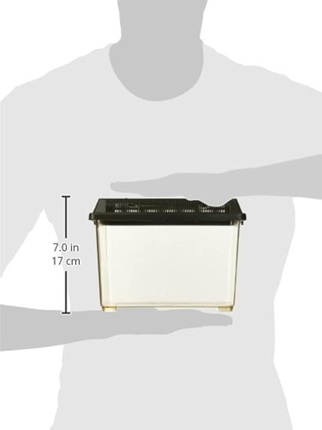 Exo Terra Faunarium, Plastic Reptile Terrarium, Small, PT2255 (Pack of 2)