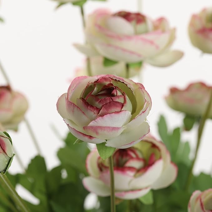 Artificial Silk Flowers Persian Buttercup Bicolor Ranunculus Flower 5 Pcs,Suitable for core Decoration,Wedding Floral Creation,Flower Arrangement DIY Project,Interior Decor（Green）