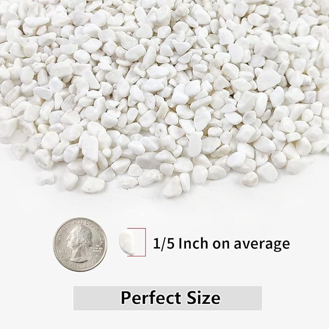10LB Succulent and Cactus Gravel, 1/5 Inch White Natural Decorative Polished Pebbles for Landscaping, River Rocks for Plants, Vases, Aquariums, Terrarium and Outdoor Gardening
