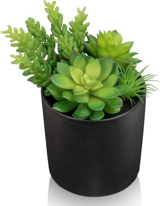 Artificial Succulents in Pots Faux Succulents Plants Fake Succulent Arrangement Potted Plants with Black Ceramic Vase for Office Desk Bathroom Shelf Living Room Indoor Home Decor