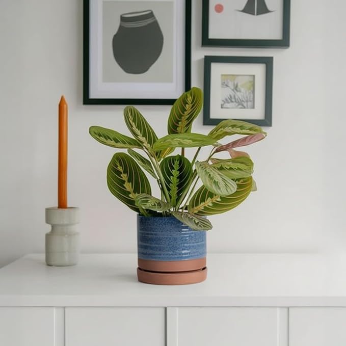 6 Inch Plant Pots, Ceramic Planter Pot with Drainage Hole & Saucer, Indoor/Outdoor Cylinder Round Planter Pot, Aqua Blue & Terracotta Red