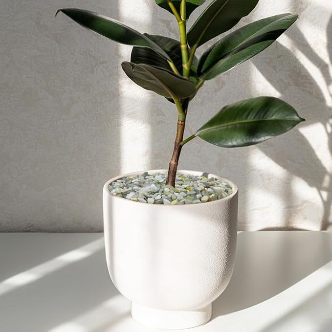 10LB Succulent and Cactus Pebbles, 1/5 Inch Jade Natural Decorative Polished Stones, River Rocks for Plants, Vases and Outdoor Gardening,Green