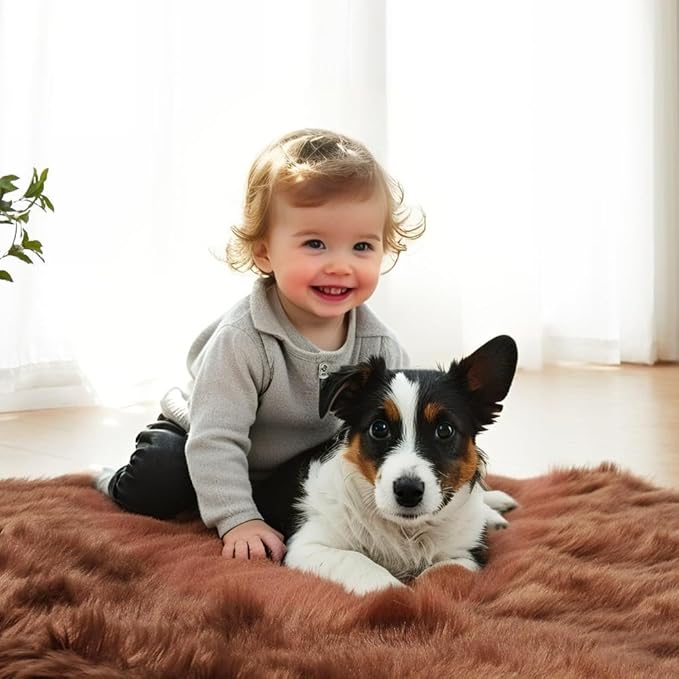 AMTOVO Faux Fur Sheepskin Rug for Living Room, 4 x 6 ft Coffee Fluffy Area Rug for Bedroom, Playroom, Luxury Room Decor, Rectangle