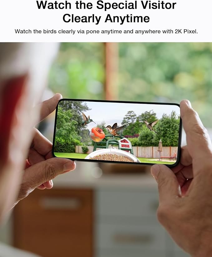 Bird Feeder with Camera-2K Live Video, Solar-Powered, Smart AI Identify Birds, 2L Food Capacity, Arrived Alerts, Bird Videos Storage, Mini Hummingbird Feeder for Watching Birds Outdoor