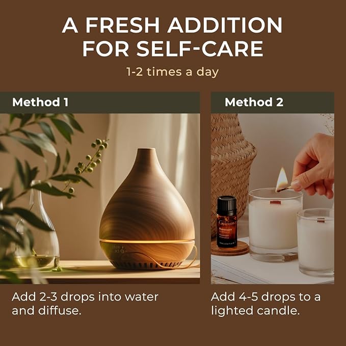 Gya Labs Ravensara Essential Oil for Diffuser - 0.34 Fl Oz - 100% Pure Natural Ravensara Oil for Skin, Hair, Aromatherapy & Candle Making Scent