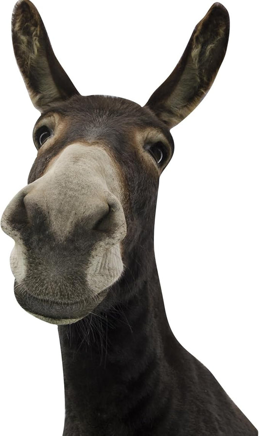 Funny Donkey Wall Decals - Peel and Stick Cute Window Stickers, Removable Vinyl Farmhouse Decor, Weird Gifts for Friends