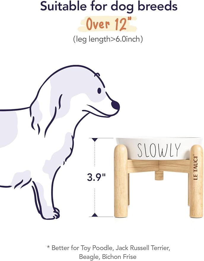 Ceramic Elevated Slow Feeder Dog Bowl - 0.6 Cup Puzzle Feeder with Wooden Stand for Small Breeds, White Pet Dish