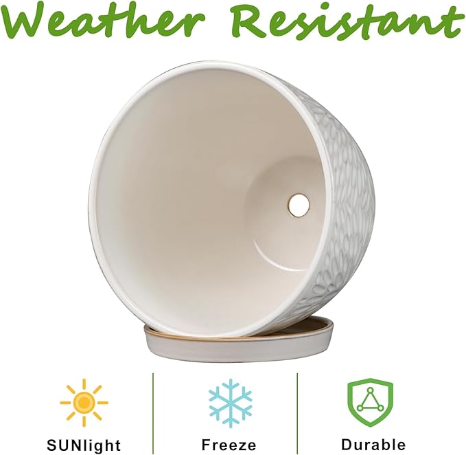 G EPGardening 6 Inch Plant Pot for Indoor Plants Outdoor Round Ceramic Planter Decorative Flower Pot with Drainage Hole and Saucer White