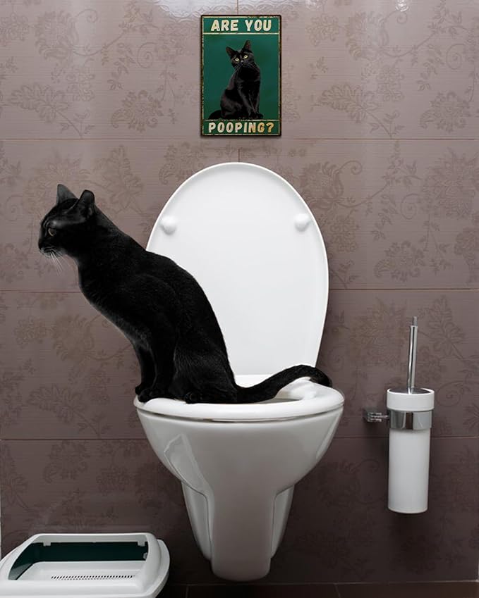 ALKB Funny Black Cat Sign Are You Pooping Metal Signs Black Cat Gift Vintage Bathroom Wall Decor 8 x 12 Inch