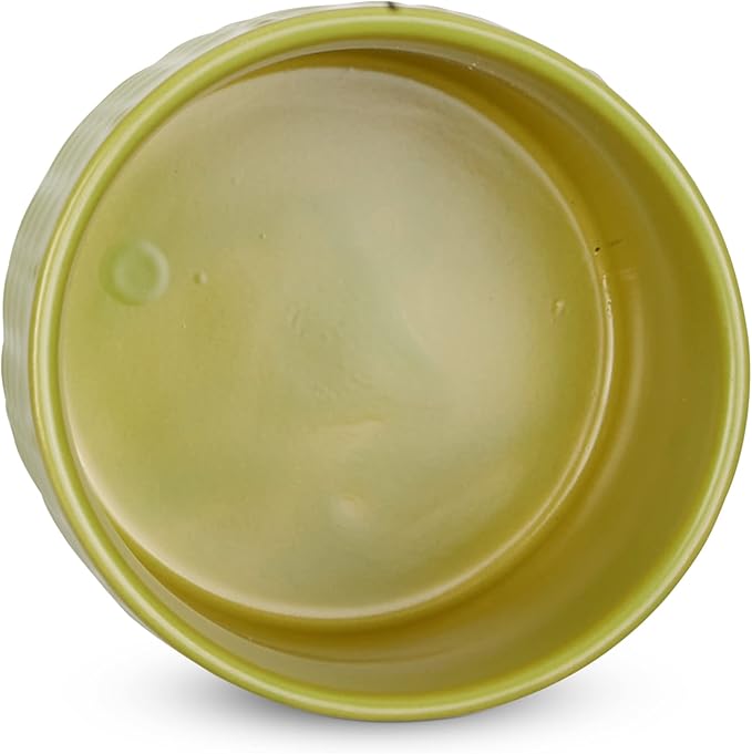 DII Kitchen Accessories Collection, Textured Matte Ceramic Canister Set, Avocado, Vine, 3 Piece