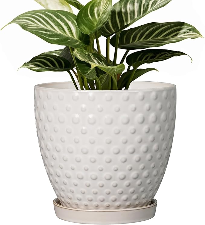 G EPGardening 6 Inch Ceramic Plant Pot with Drainage Hole and Saucer Round Planter Decorative Flower Plant Pot for Indoor Plants Outdoor White