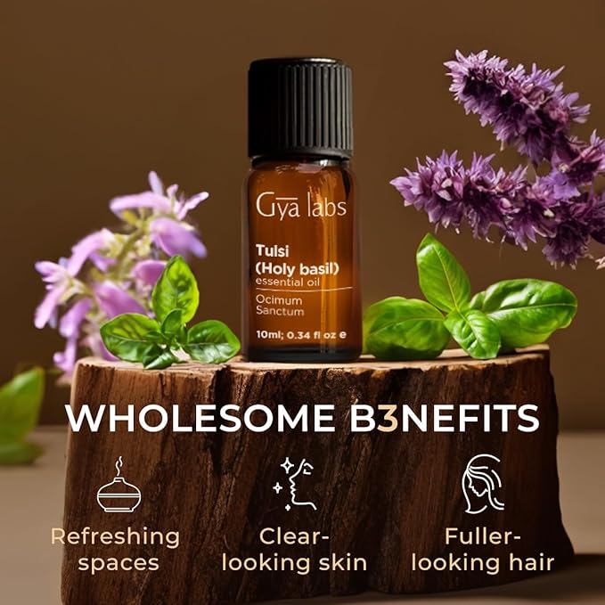 Gya Labs Holy Basil (Tulsi) Essential Oil - 0.34 Fl Oz - 100% Pure Natural Holy Basil Oil for Diffuser & Candle Making Scent