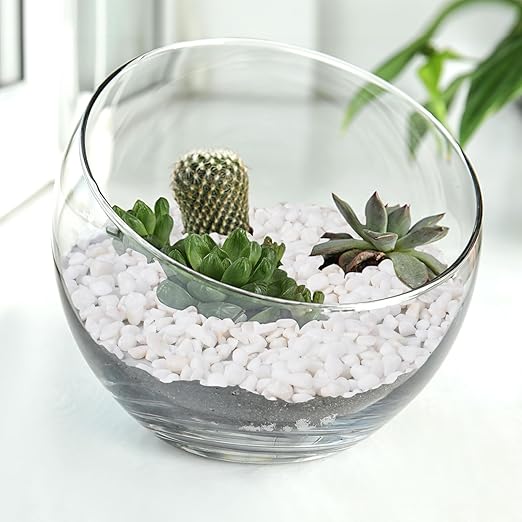 2.5 lbs White Aquarium Gravel, 1/5 Inch White Rocks for Plants, Small Pebbles for Vases, Succulents, Bamboo, Natural Decorative Pebbles for Plants Drainage, Cactus, Crafts