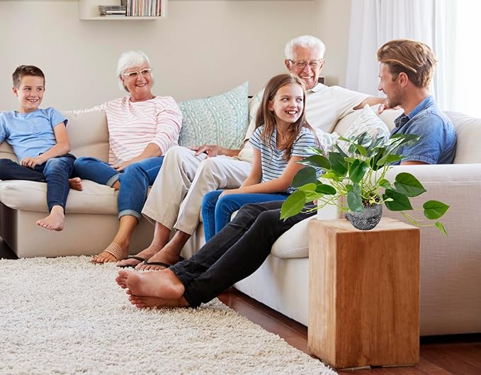 AlphaAcc Artificial Plants Potted Real Looking Small Faux Plant with Rustic Black Cement Planter for Kitchen Office Desk Bookshelf Decor (Ivy Plant)