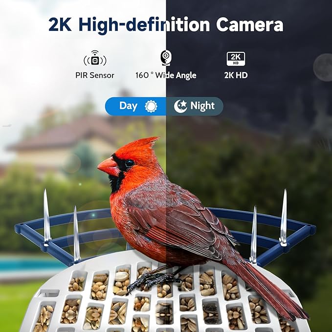 Bird Feeder with Camera Bird Feeders for Outdoors with Solar Panel, AI Identification, Ideal Gift for Lovers Friends and Parents, Navy Blue
