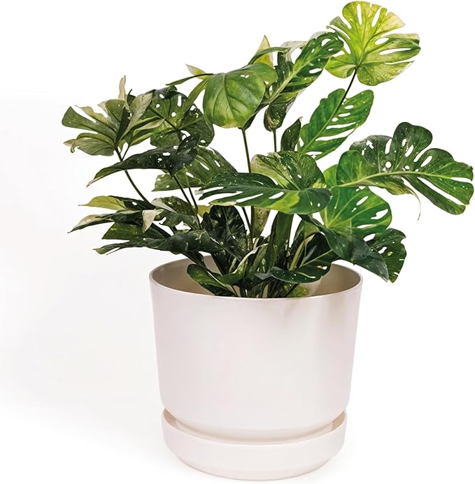 Elly Décor 12 inch Plastic Cylinder Planter Pot with Self-Watering Saucer and Drainage Hole,Lightweight & Extremely Durable, 12"x 12", White