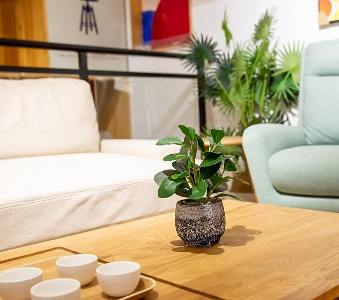 AlphaAcc Artificial Plants Potted Real Looking Small Faux Plant with Rustic Black Cement Planter for Kitchen Office Desk Bookshelf Decor (Ficus Plant)