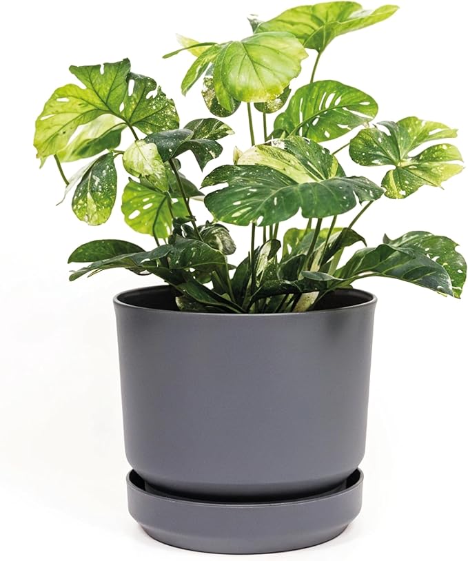 Elly Décor 10 inch Plastic Cylinder Planter Pot with Self-Watering Saucer and Drainage Hole,Lightweight & Extremely Durable, 10"x 10", Gray