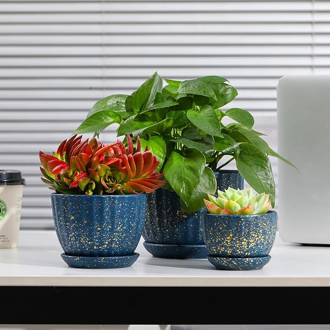 Ceramic Plant Pots with Drainage Holes and Saucers, Round Blue Flower Pots for Indoor Plant, Diameter 3.3/4.3/5.5 Inches Small Mini Flower Planters Set of 3