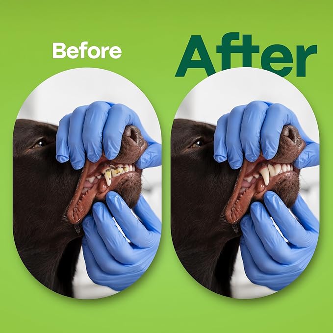 DOCO Dog Teeth Cleaning Wipes Dental Finger Wipes for Cats & Dogs Remove Plaque & Tartar, Freshen Breath, No Rinse, Easy Pet Tooth Cleaning Kit for Oral Care, Coconut & Grapefruit Flavor, 50 Count