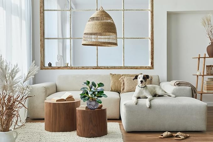 AlphaAcc Artificial Plants Potted Real Looking Small Faux Plant with Rustic Black Cement Planter for Kitchen Office Desk Bookshelf Decor (Ficus Plant)