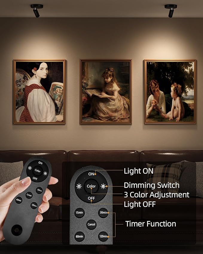 EZVALO Spotlights Indoor with Remote,5500mAh Rechargeable Picture Lights, Wireless LED Uplighting with Timer＆Dimmable, 3CCT,Mini Plant Spot Lights for Painting,Artwork,Accent Lighting(4Pack-Black)
