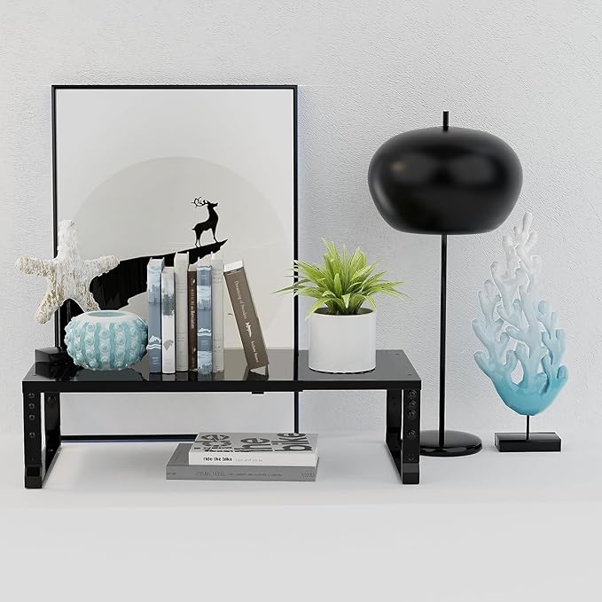 Expandable,Stackable Spice Rack,Seasoning Organizer and Storage,Spices Jar Racks for Cabinet,Countertop, Metal Pantry, Cupboard,Laundry Storages,Heavy Duty(1 Pack/Large/Black)