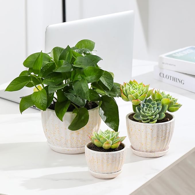 Ceramic Plant Pots with Drainage Holes and Saucers, Round Flower Pots for Indoor Plant, Diameter 3.3/4.3/5.5 Inches Small Flower Planters Set of 3
