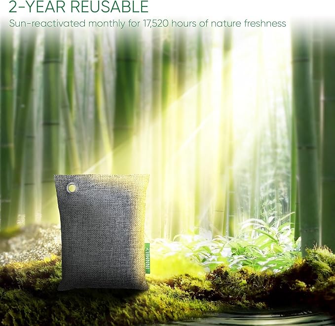 Activated Charcoal Odor Absorber, Odor Eliminator for Strong Odor,Bamboo Charcoal Air Purifying Bags for Home Car Closet Pet, Smoke Room Deodorizer (4 x 200g, Unscented)