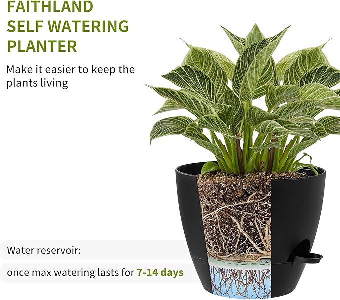 FaithLand 3-Pack Planter Pots, 10 9 8 Inch Self Watering Flower Pots for Indoor Outdoor Garden Plants, Black with Brown
