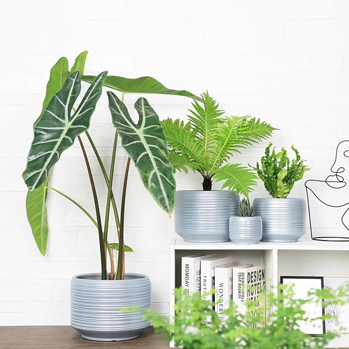 10 Inch Ceramic Plant Pot with Drainage – Large Flower Pot for Indoor Outdoor Plants, Modern Decorative Planter for Patio, Balcony, Garden, or Home Decor