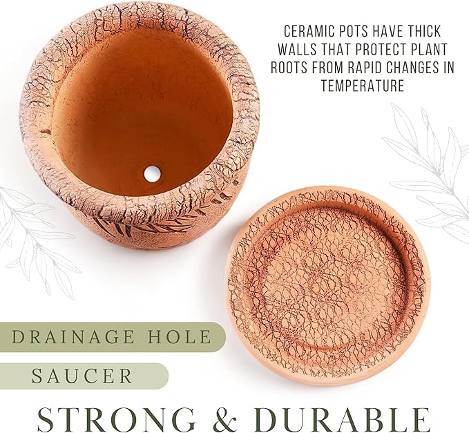 Ceramic Pot with Drainage Hole and Saucer, Plant Pots, Modern Decorative Planters for House Plants Indoor Flowers Plants, Cute Flower Pot - Gifts (Owls (1.6 L))