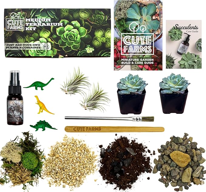 Cute Farms Terrarium Starter Kit | Moss, Vermiculite, Soil, Pebbles, Plant Food, & Finishing Tools (Medium Kit + Live Plants)