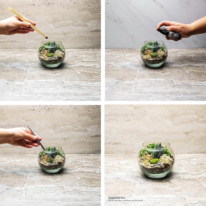 Cute Farms Terrarium Starter Kit | Moss, Vermiculite, Soil, Pebbles, Plant Food, & Finishing Tools (Medium Kit + Live Plants)