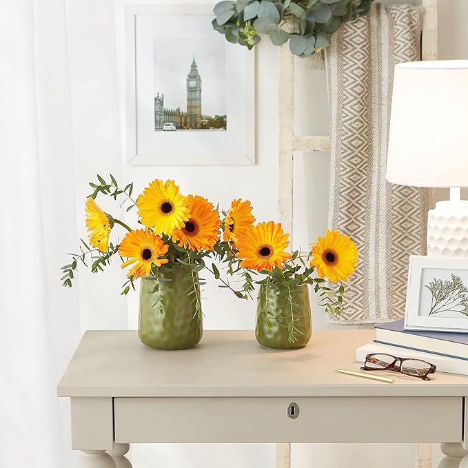 DII Kitchen Accessories Collection, Textured Matte Ceramic Canister Set, Sage, Dimple, 2 Piece