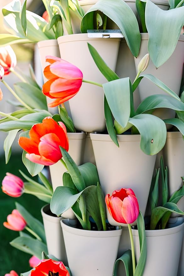 Greenstalk Patented Large 5 Tier Vertical Garden Planter with Patented Internal Watering System Great for Growing a Variety of Strawberries, Vegetables, Herbs, & Flowers (Stunning Stone)