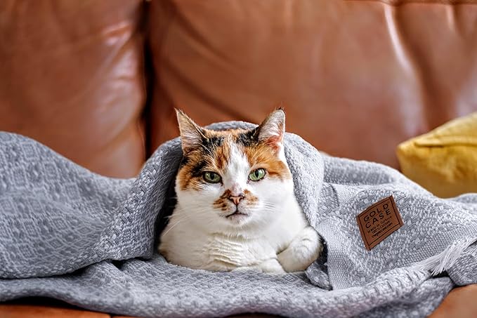 Gold Case Throw Blanket for Couch - 100% Recycled Turkish Cotton Blankets & Throws - Retro Soft Throw Blankets for Living Room Sofa - Boho Decorative Woven Throws for Couch - 60x80 - Navy Blue