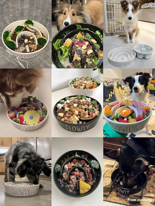 Ceramic Slow Feeder Dog Bowls Elevated, 3 Cups Raised Dog Bowl with Wooden Stand for Medium Large Breed to Slow Down Eating, Puzzle Food Bowl,Black