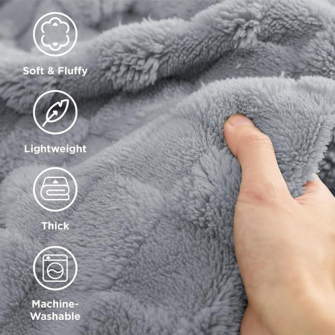 Bedsure GentleSoft Blankets Queen Size for Bed - Super Soft Cozy Blanket for Women Men Girls, Large Fuzzy Fleece Throw for Bedroom Decor, Silver Grey, 90x90 Inches