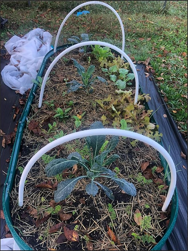 2 Pack 8x4x1FT Galvanized Raised Garden Bed Kit Oval Metal Ground Planter Box Outdoor Bottomless Planter Raised Beds for Vegetables Flowers Herbs Fruits, Green