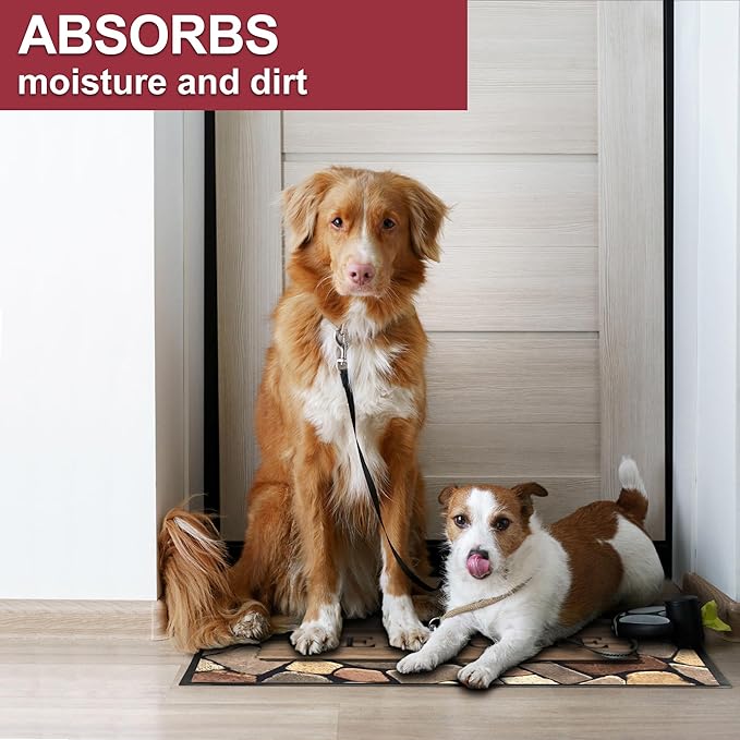 Floor Mat - for Indoor and Outdoor Use - Doormat - Non-Slip - Front Door Shoe Scraper - Size: 17x29