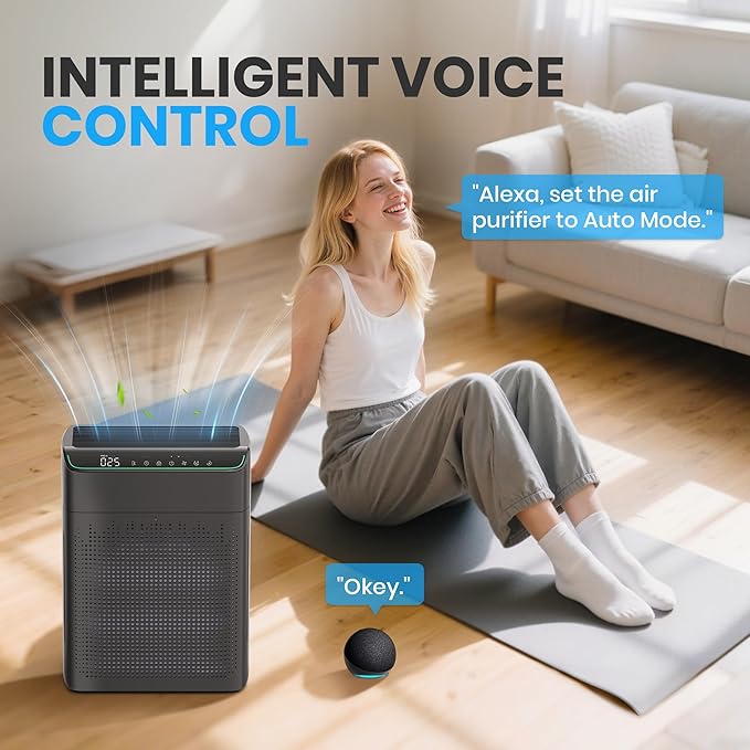 Air Purifiers for Home Large Room Up to 1690 ft² Double-sided Air Inlet Smart WiFi Alexa Compatible PM 2.5 Air Quality Monitor for Smoke and Odor 23dB Quiet 1 Pack+2 Pack HEPA Filters Black