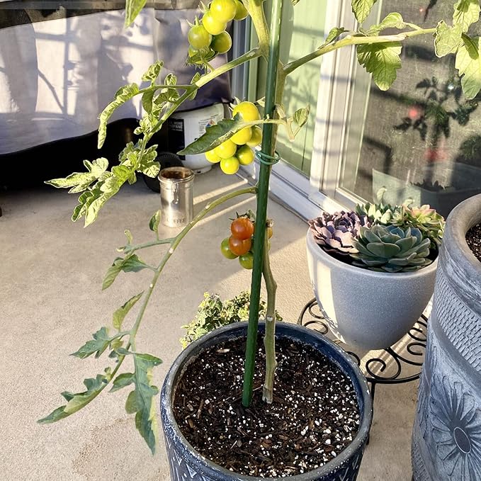 Garmeinea Garden Stakes 24 Inches Plastic Coated Steel Plant Stakes for Growing Climbing Plants, Pack of 25