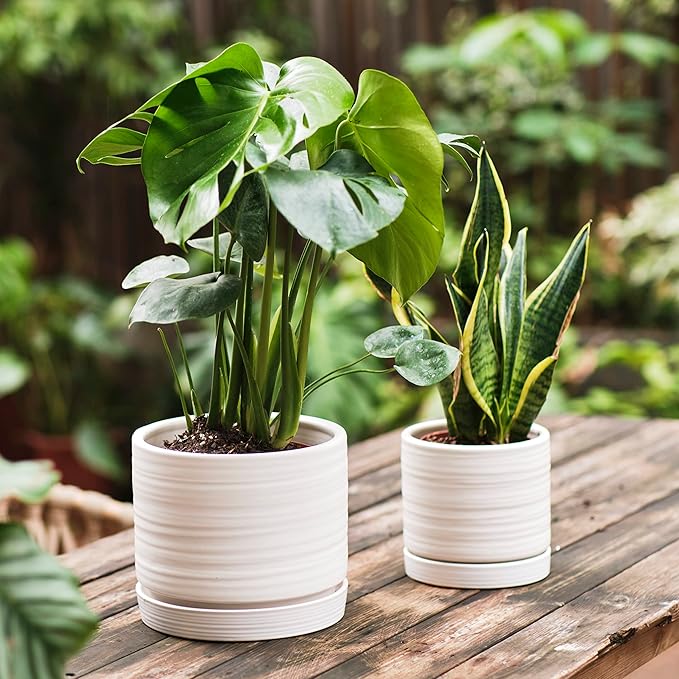 6 + 8 Inch Plant Pots, Ceramic Planter Pot with Drainage Hole & Saucer, Indoor/Outdoor Cylinder Round Planter Pot, Matte White