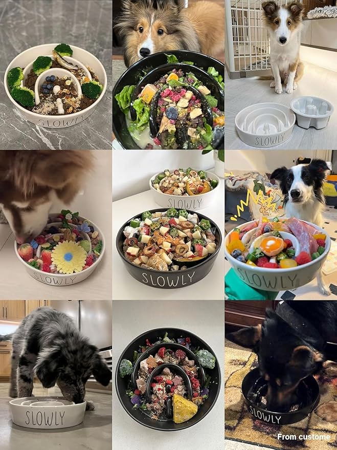 Ceramic Puzzle Slow Feeder Dog Bowl - 0.6 Cup Elevated with Wood Stand for Small Breeds, Black