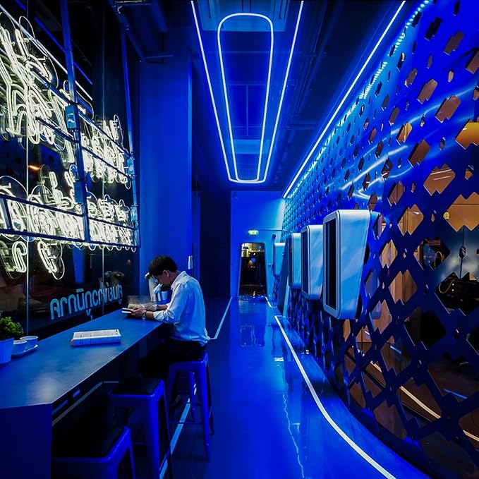 GZBtech Flexible LED Neon Rope Lights 16.4FT,AC 110-120V Waterproof Neon Strip Light, 120LEDs/M Cuttable Connectable Rope Lighting for Indoor Outdoor Home Decor/Commercial Building Use-Blue 5M