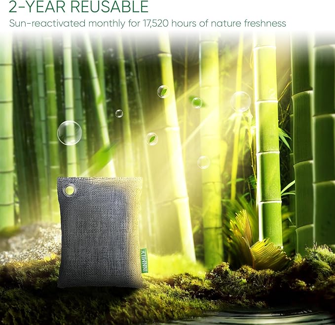 Activated Charcoal Odor Absorber, Odor Eliminator for Strong Odor,Bamboo Charcoal Air Purifying Bags for Home Car Closet Pet, Smoke Room Deodorizer (10 x 100g, Unscented)