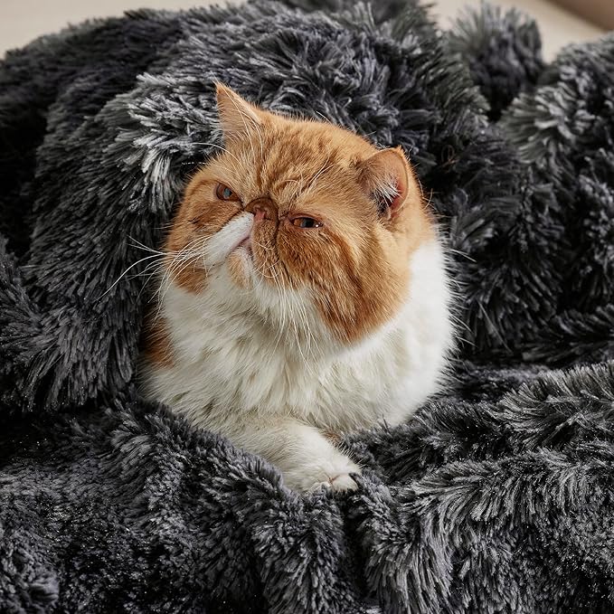 Bedsure GentleSoft Fluffy Black Blanket Cozy Gifts for Men, Black Home Decor Soft Fuzzy Plush Thick Warm Sherpa Fleece Faux Fur Throw Blanket for Couch Bed, Living Room College Dorm Decor, 50x60