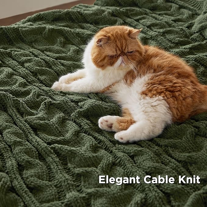 Bedsure Cable Knit Twin Blanket for Couch Bed - Breathable Chenille Chunky Knit Twin Blanket for Decorative Gift, GentleSoft Cozy and Warm for Winter and All Seasons, Green, 60x80 Inches